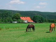 Eine Pferdeweide in der Nähe von Stockum in Sundern