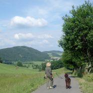 Wanderung in Stockum mit Hund