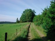 Querfeldein durch Stockum und das Sauerland