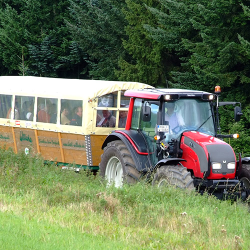 Eine Planwagenfahrt um den Sorpesee