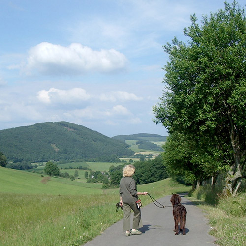 Eine Wanderung im Sauerland